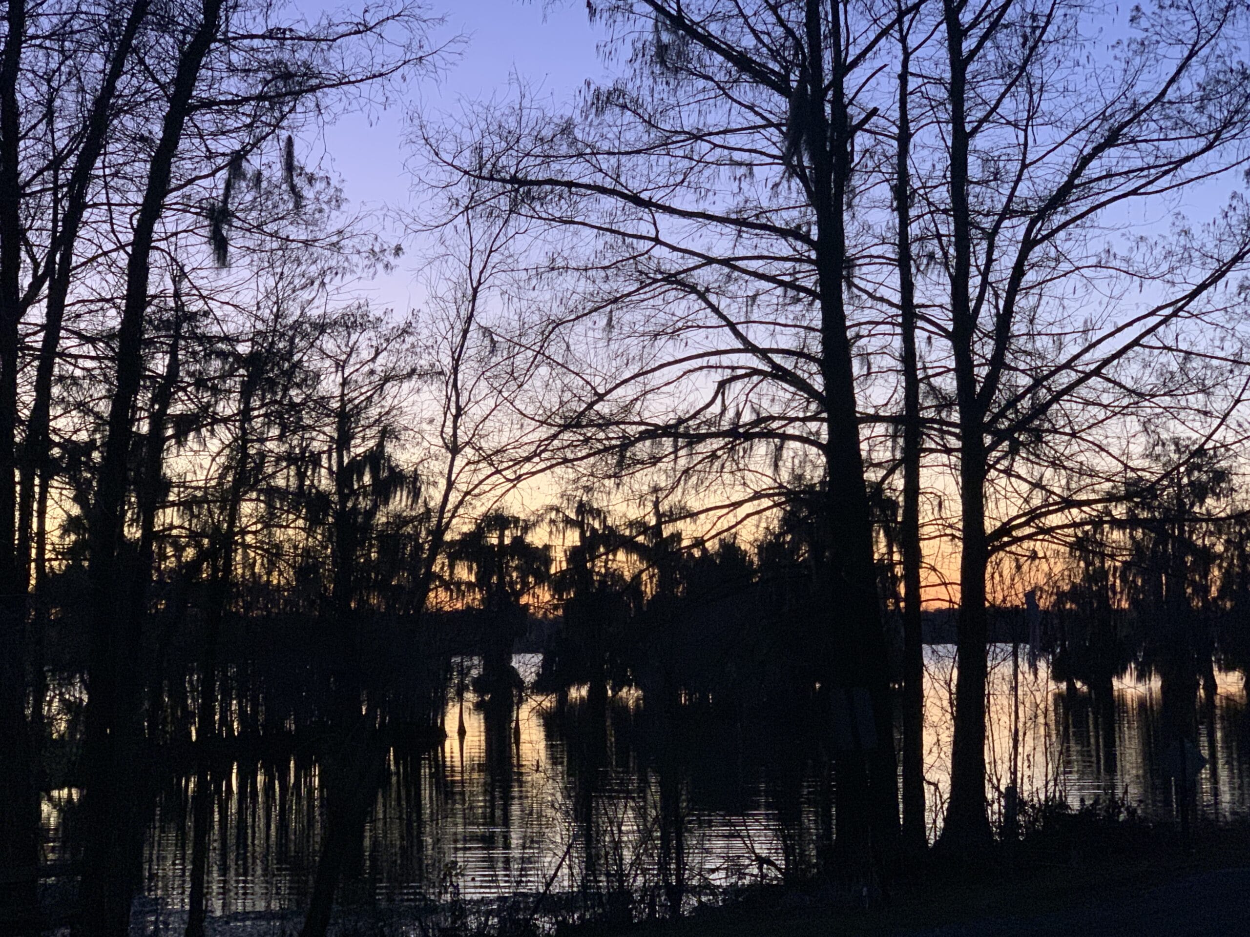 Sunset over Louisiana swamp highlighting 12 fascinating swamp facts, captured from our van the night before our tour.