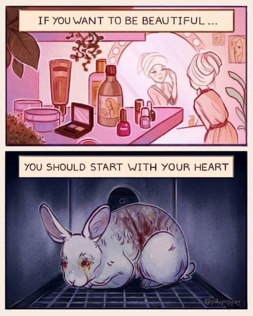 Don't hurt animals to be beautiful outside. Be beautiful inside without hurting people