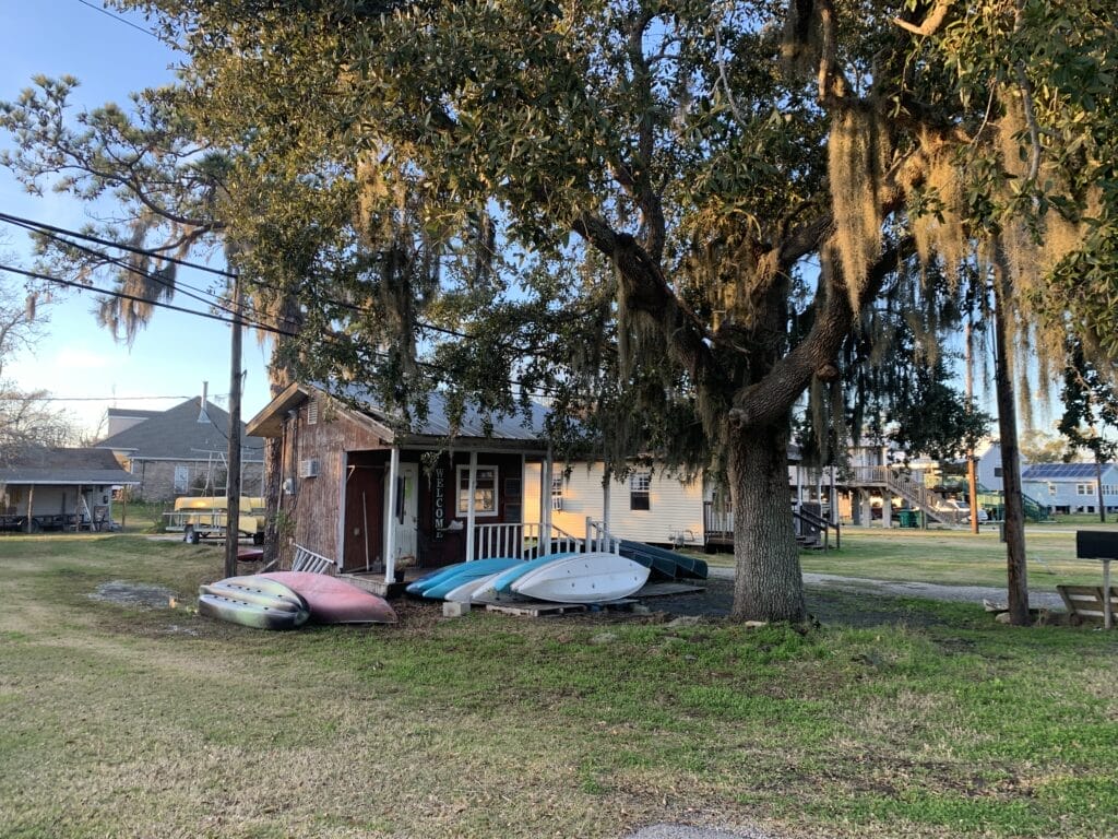 Swamp Explorers storefront with kayaks lined up in front, towering tree with Spanish moss in foreground.