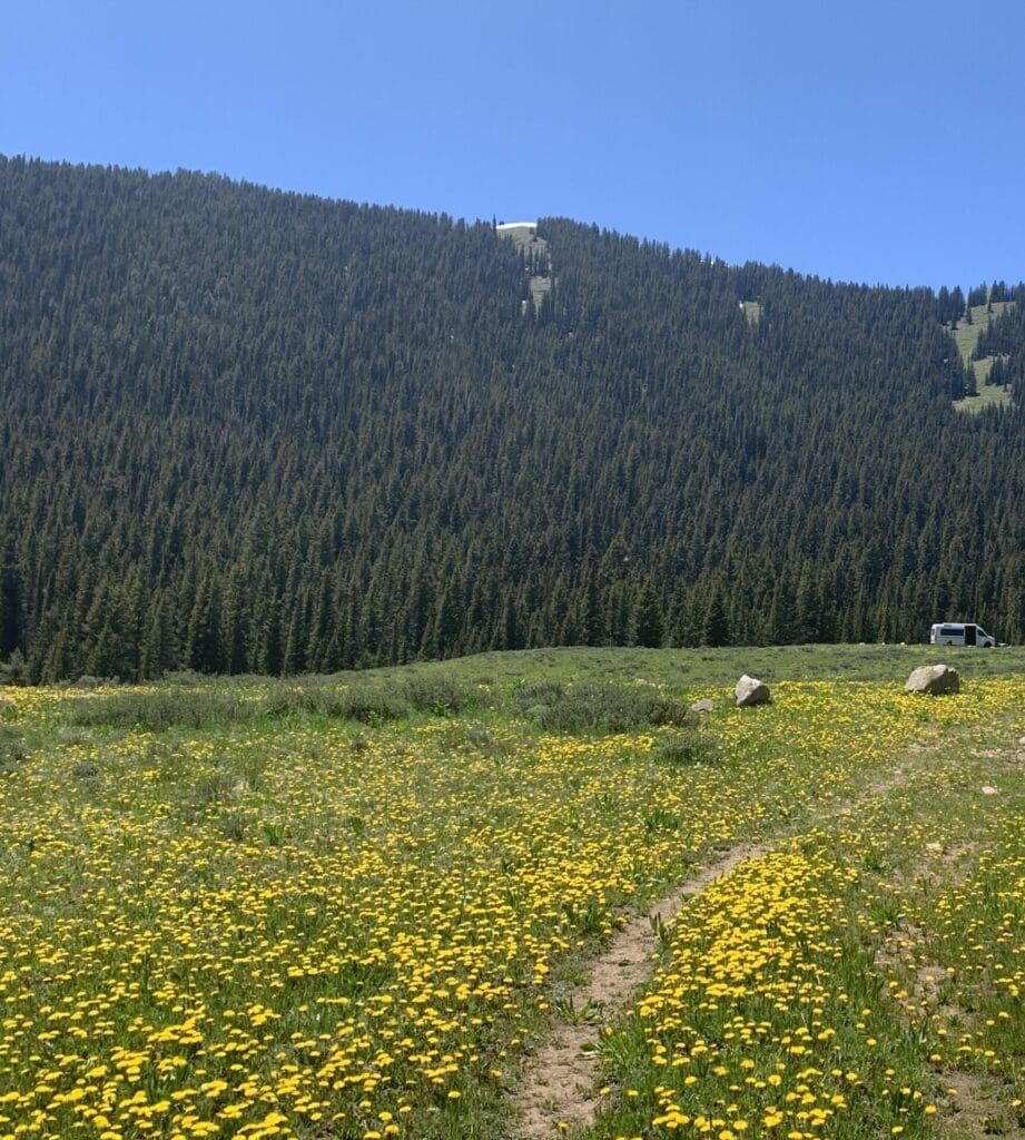 Our converted van parted in the wild flower field showing the beauty of vanlife.