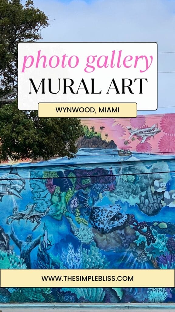 Beautiful Wynwood Graffiti Art