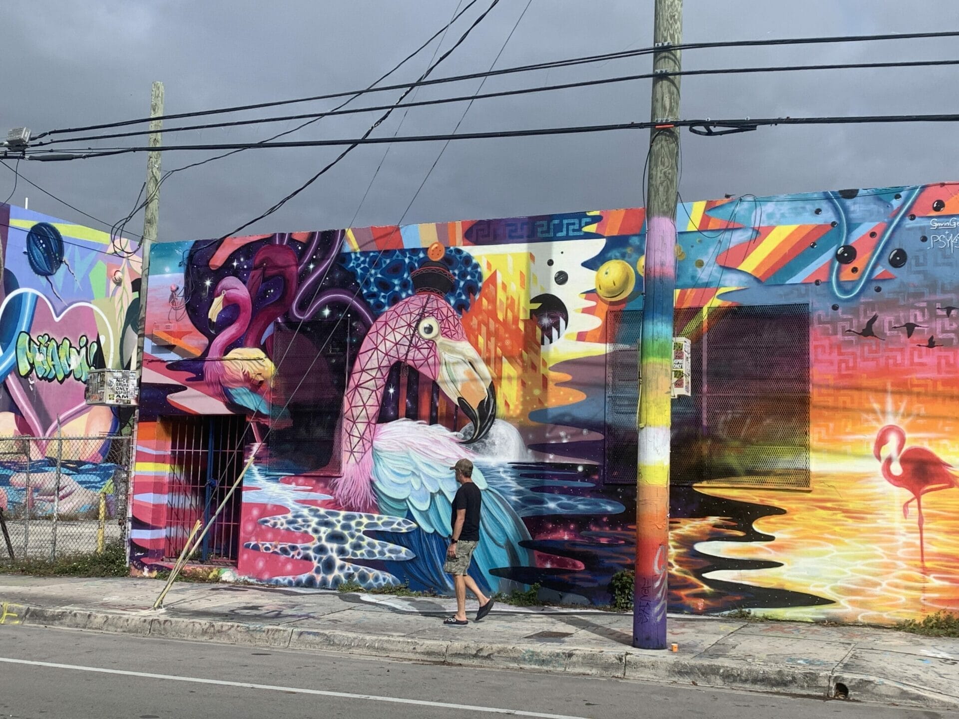 Wynwood's Vibrant Street Art - 📸 Album of the Most Colorful Walls - The Simple Bliss
