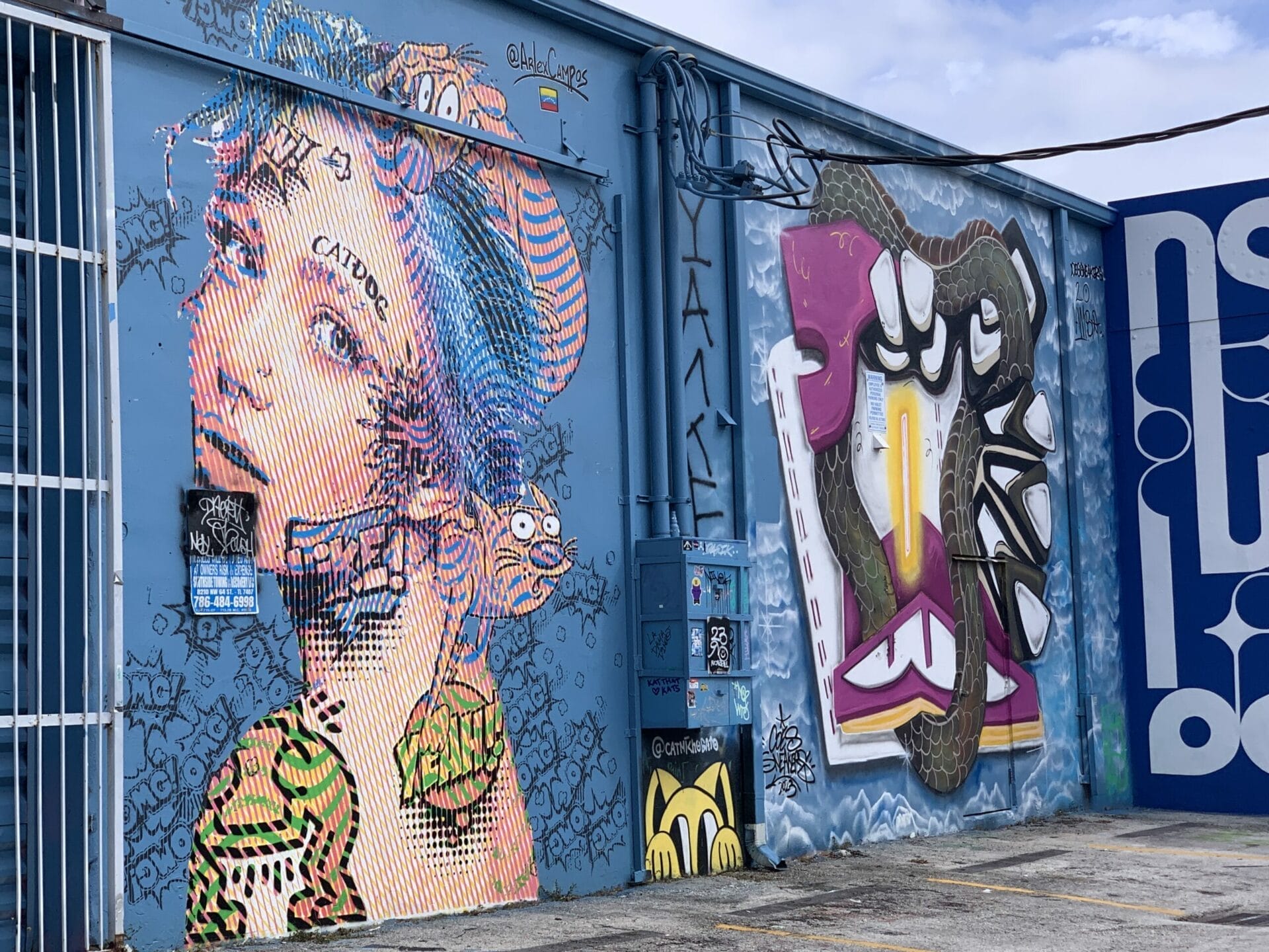 Vibrant street mural in Wynwood, Florida, showcasing colorful artwork on urban walls. Everything you can imagine!
