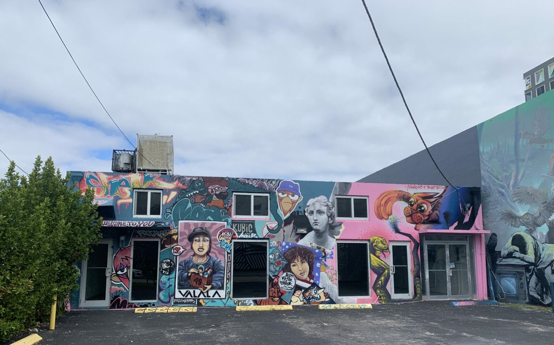 Vibrant street mural in Wynwood, Florida, showcasing colorful artwork on urban walls. mural on all storefronts.