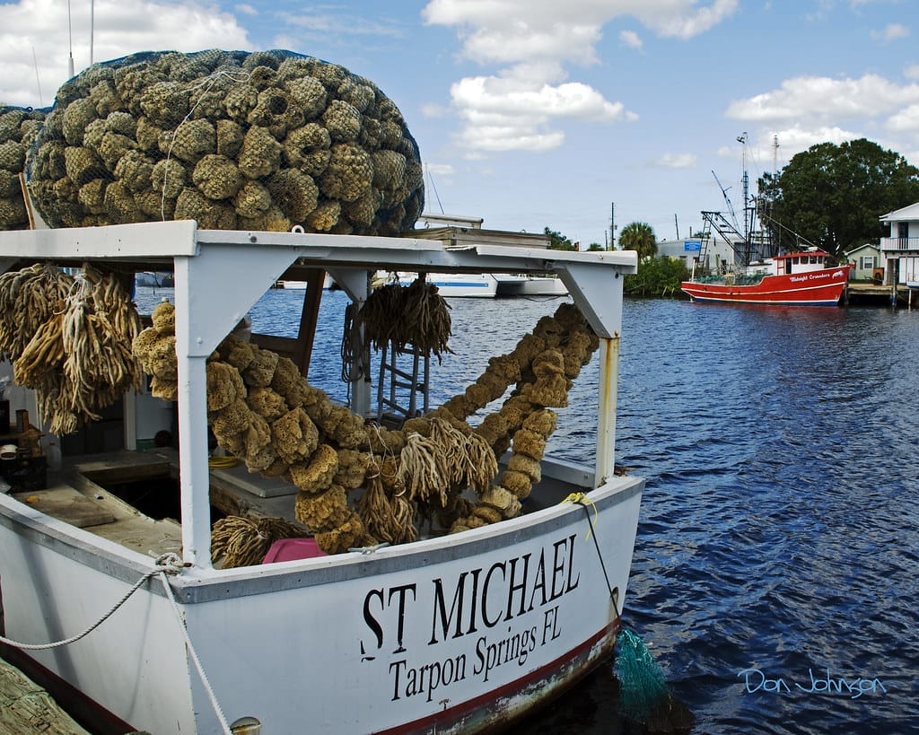 Tarpon Springs connection to Greek sponge divers.