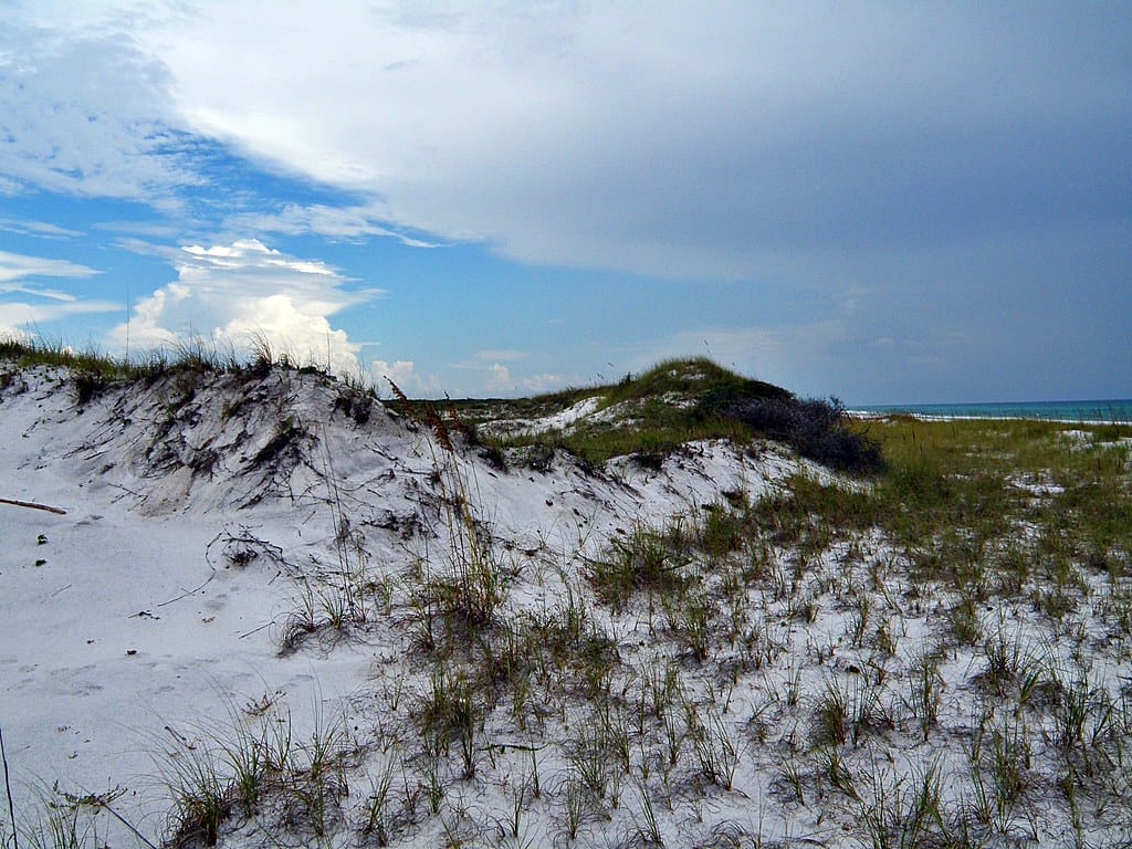 Florida's must-see natural wonders - Topsail Hill Preserve State Park