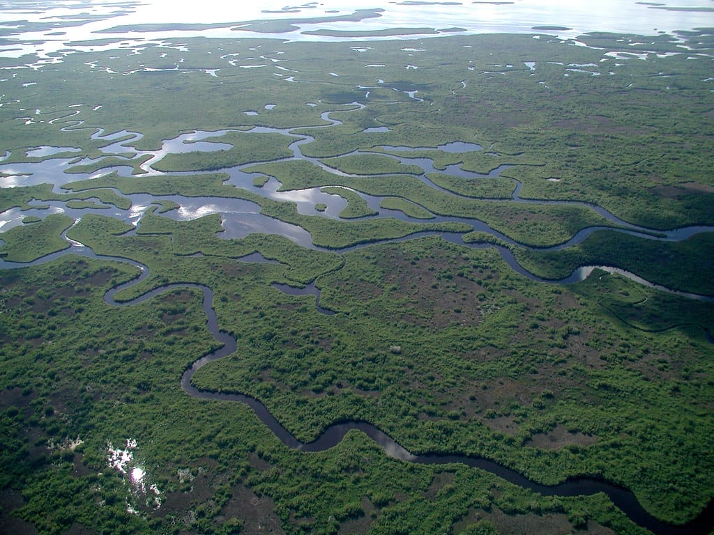 Must-see Florida nature attraction - Everglade National Park