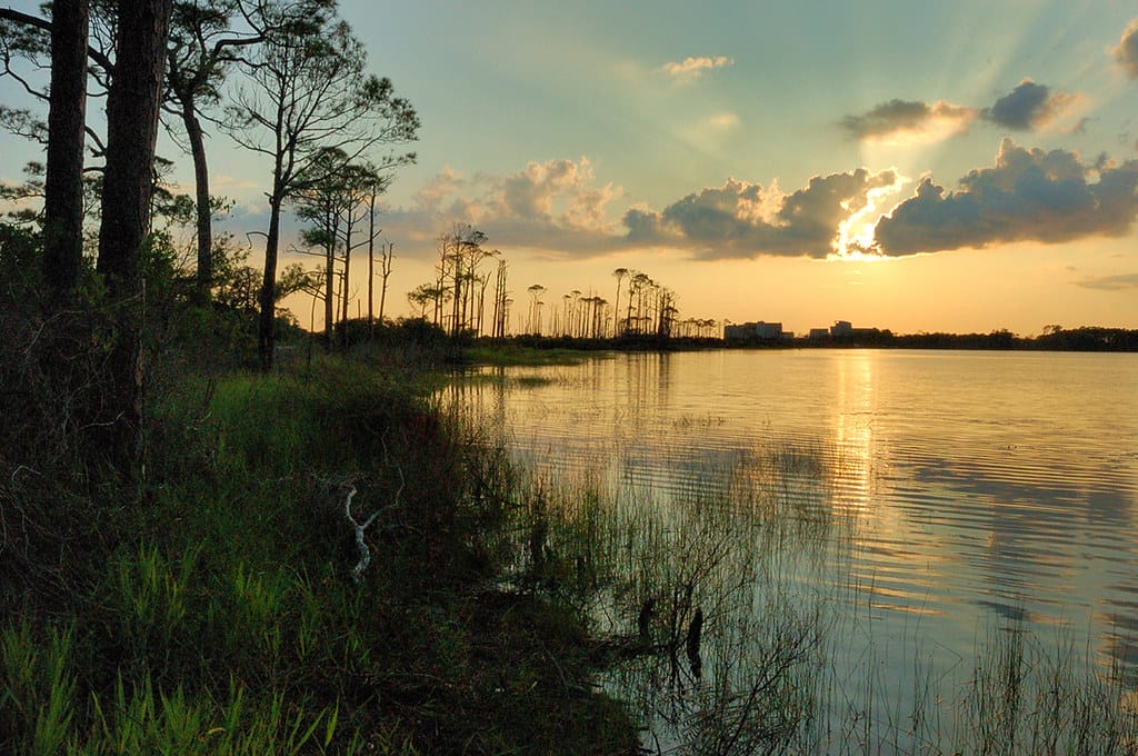 Florida's must-see natural wonders - Topsail Hill Preserve State Park