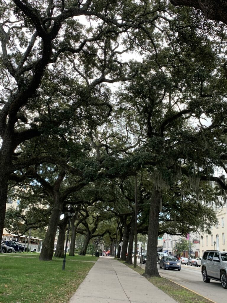 Travel Savannah, Georgia - Historic River Street