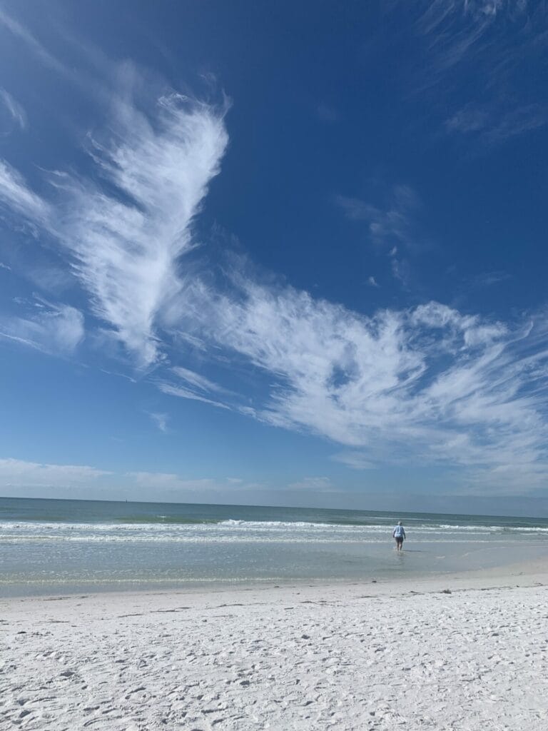 Florida's must-see natural wonders - White Sandy Beach - Siesta Key Beach