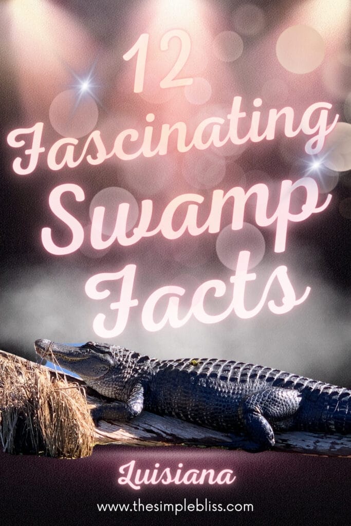 12 fascinating swamp facts that you may not know about-New Orleans trip