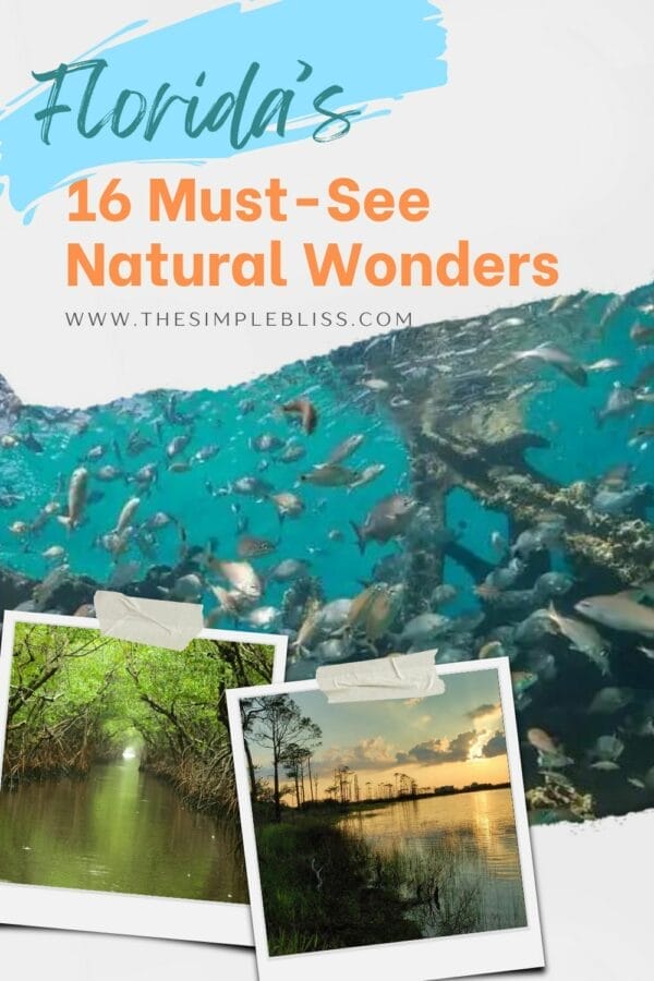 Florida's must-see natural wonders.