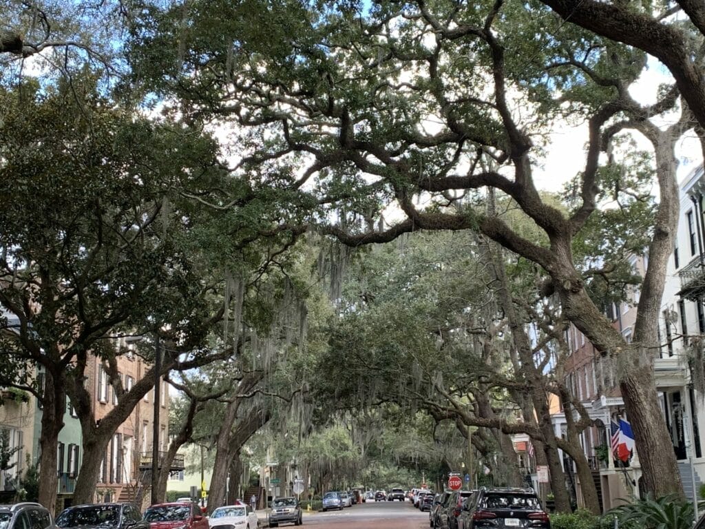 Travel Savannah, Georgia - Jones Street