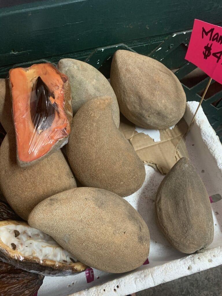 Mamey sapote exotic fruit in Miami.