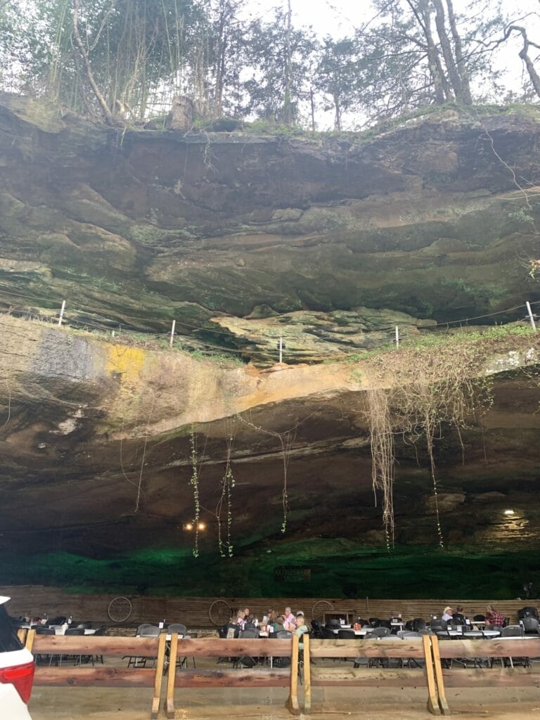 Rattlesnake Saloon, a unique place full of Southern beauty.