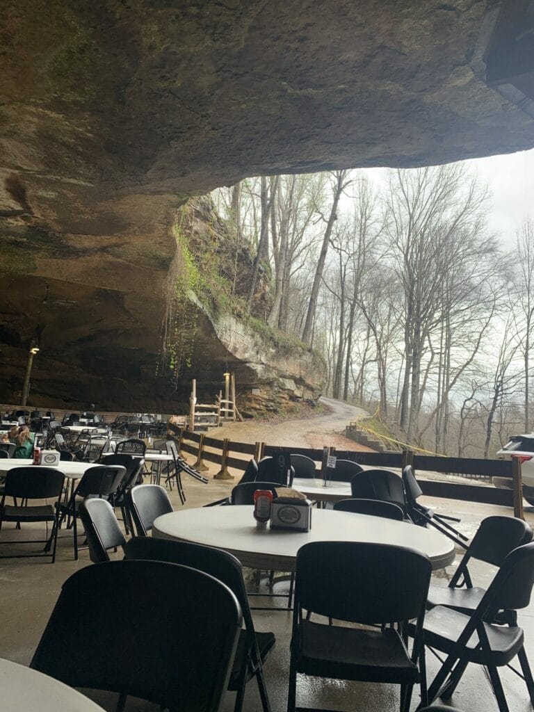 Rattlesnake Saloon, view from our table.