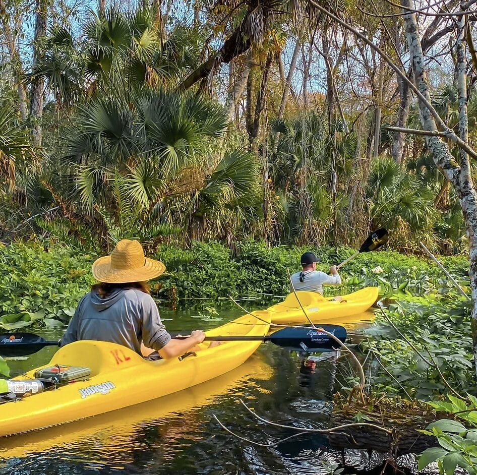 Florida's must-see natural wonders - Kelly Park Rock Spring.