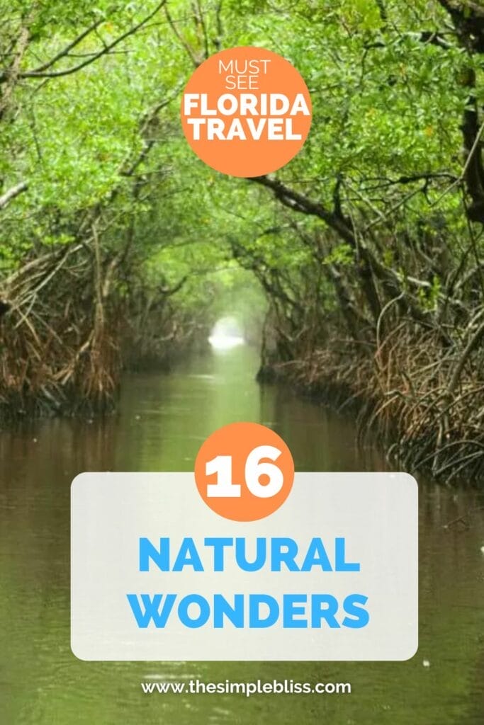 Must-see Florida Natural Attractions.