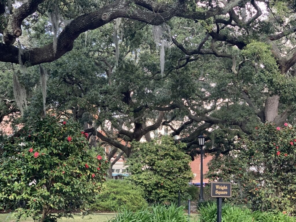 Travel Savannah, Georgia - Wright Square - one of the must-see attractions.