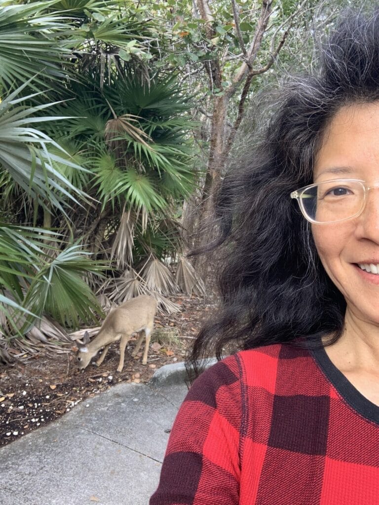 Key Deer - One of the must-see wildlife in Florida.