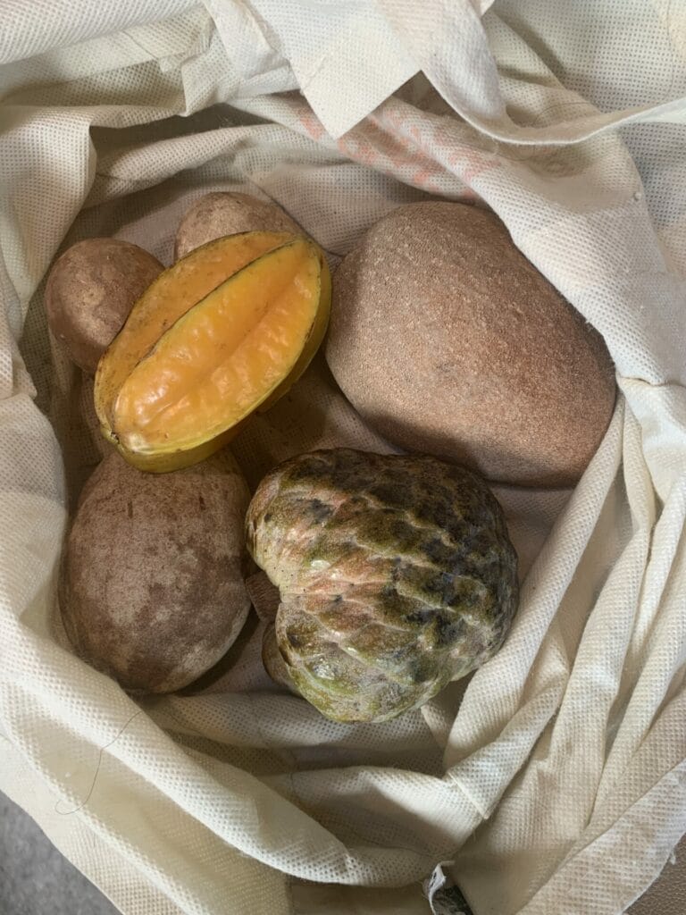 Exotic Fruits in a bag from Miamia fruit stand.