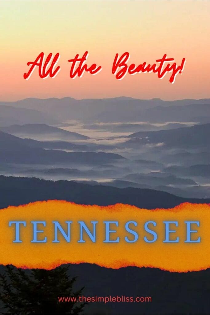 Travel guide for Tennessee, so many hidden destinations!