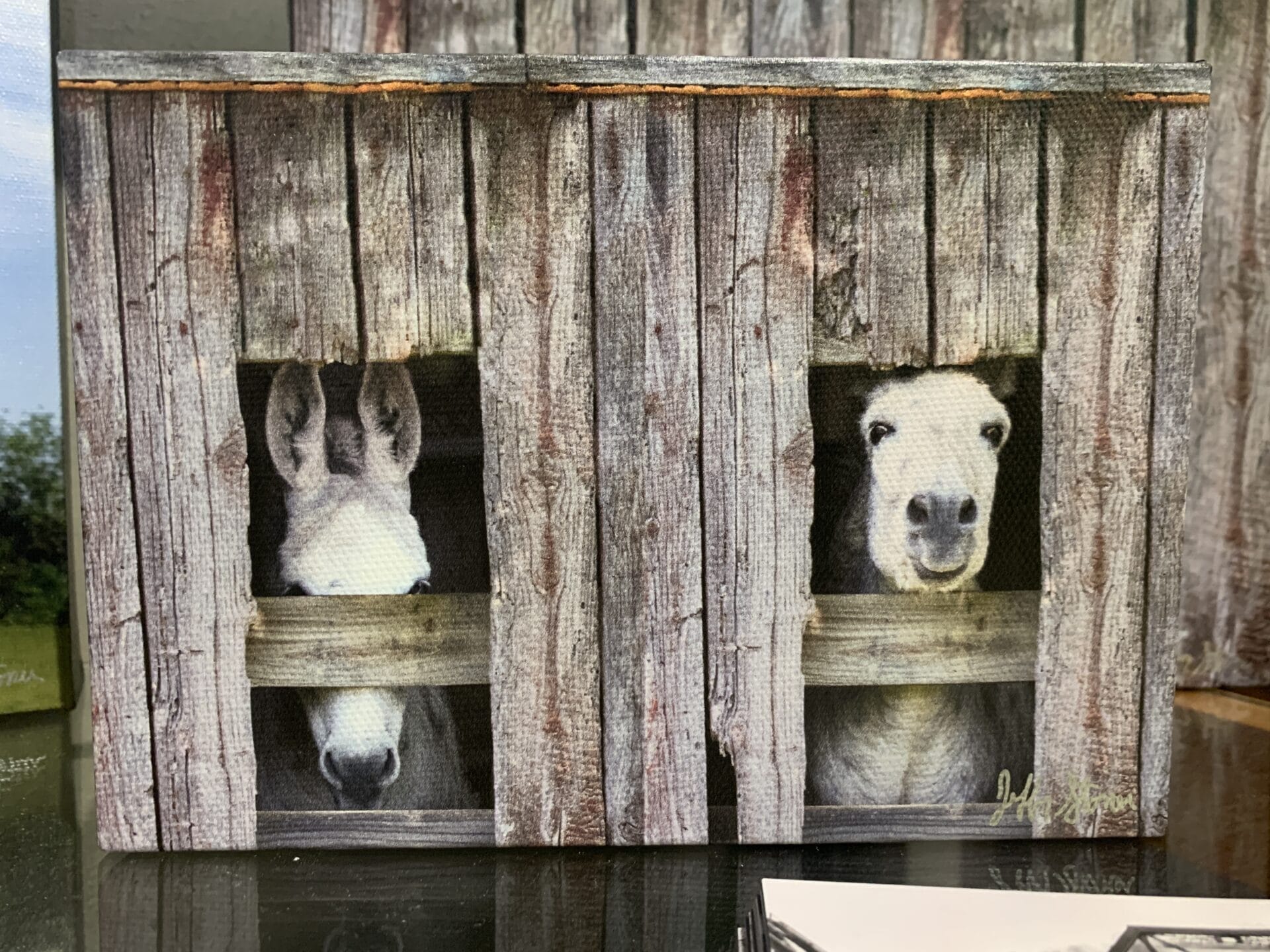 Woolworth Walk in Asheville, NC - sweet animal photographs by local artist