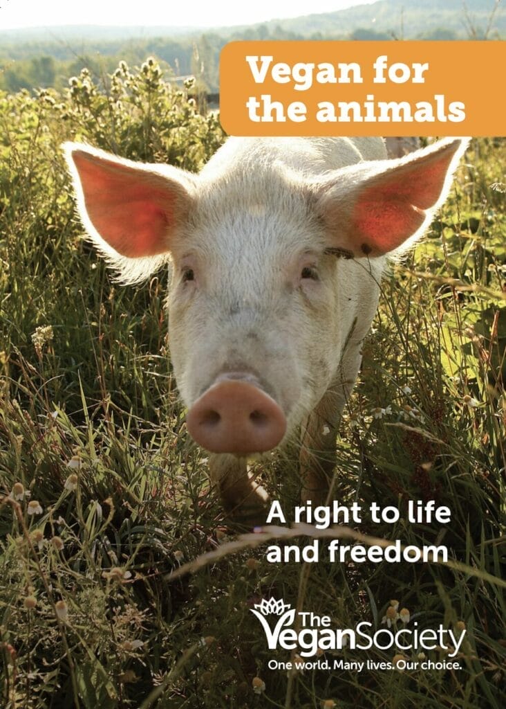 Have compassion, animals have the right to live.