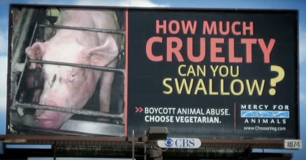 How can we be ok with this type of cruelty to animals?