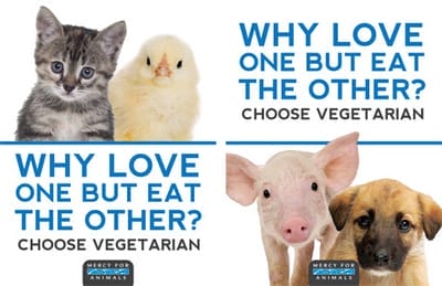 Why love one but eat the other? Statement promoting veganism.