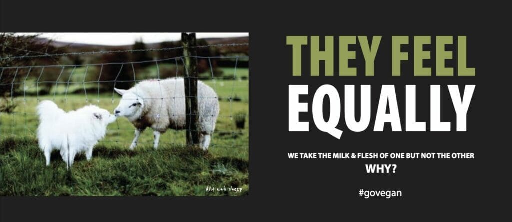 From goveganworld.com, "They fell equallty" showing a sheep and a dog in the picture. #govegan