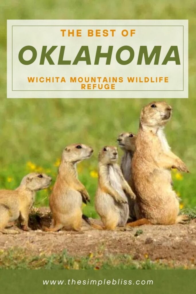 Great place to visit in Oklahoma is the Wichita Mountains Wildlife Refuge - Must Visit!