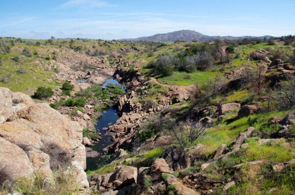 A gem that's unknown to the world. Must visit Wichita Mountains Wildlife Refuge in Oklahoma.