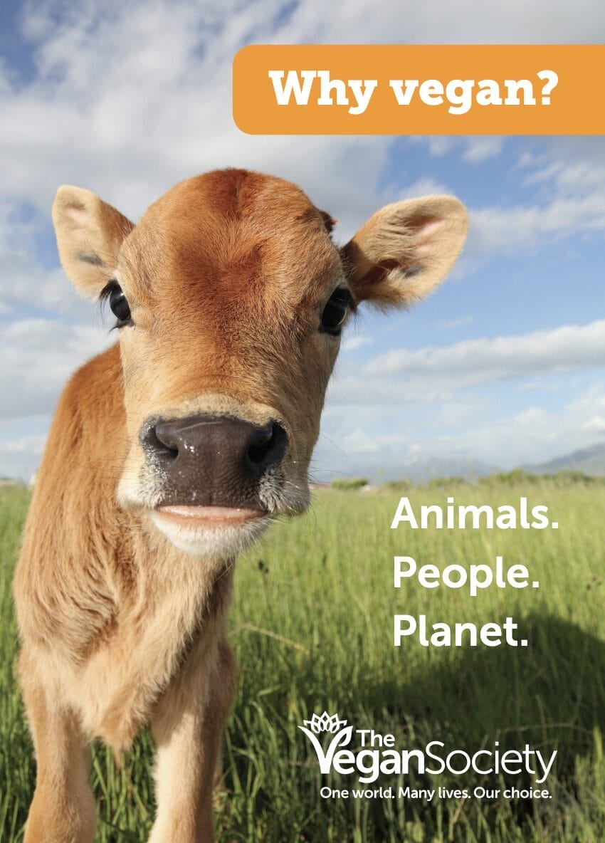 Make the change to veganism, for the animals, people and the planet.