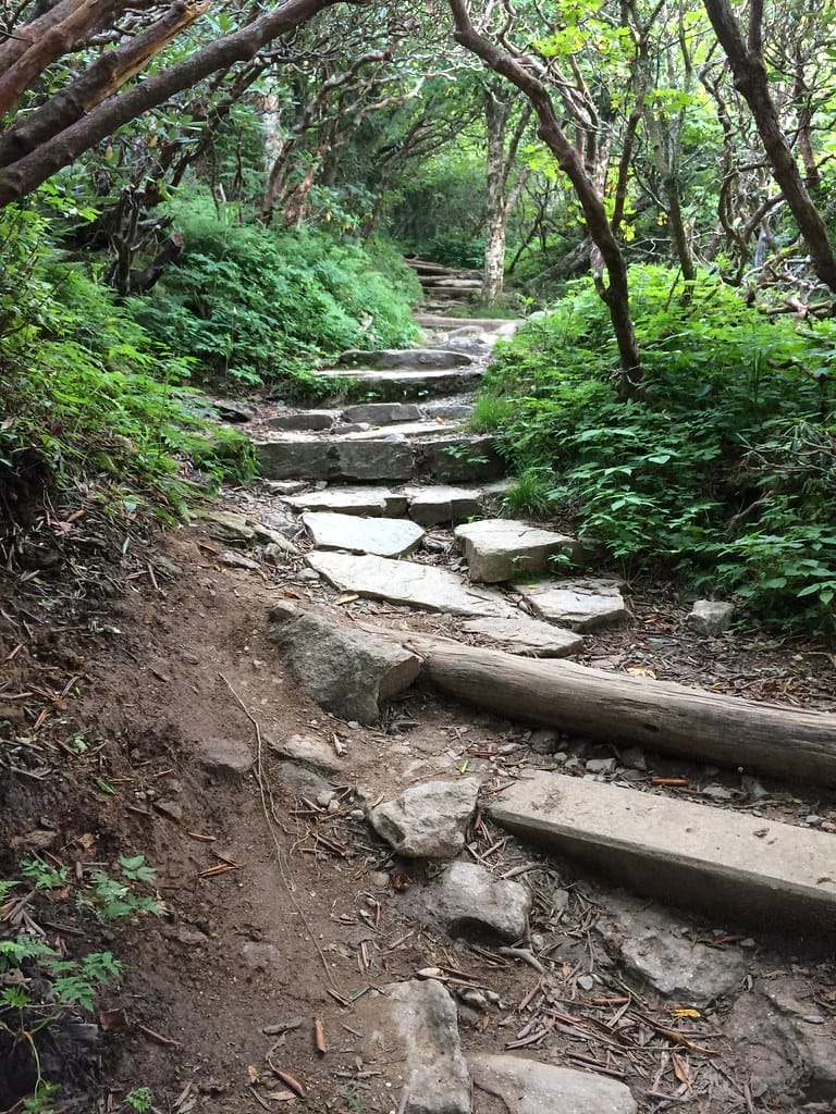 Craggy Gardens Trail in North Carolina.