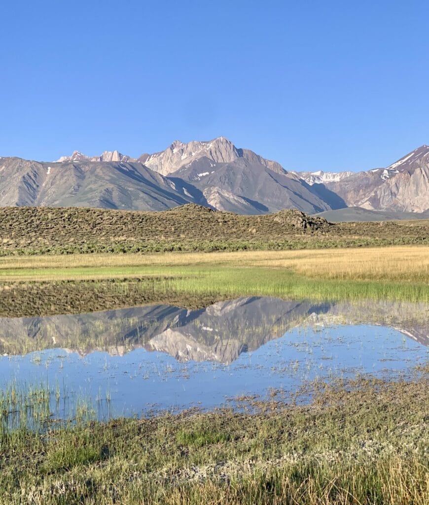 We can keep our environment beautiful by switching to more eco-friendly products.