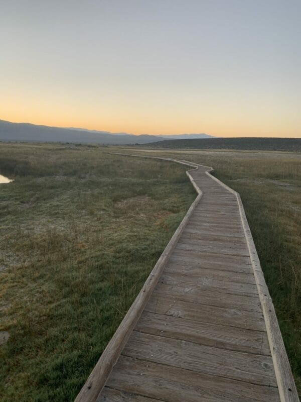 Beautiful surroundings and natural hot springs is what Wild Willy has to offer near Mammoth Hot Springs.