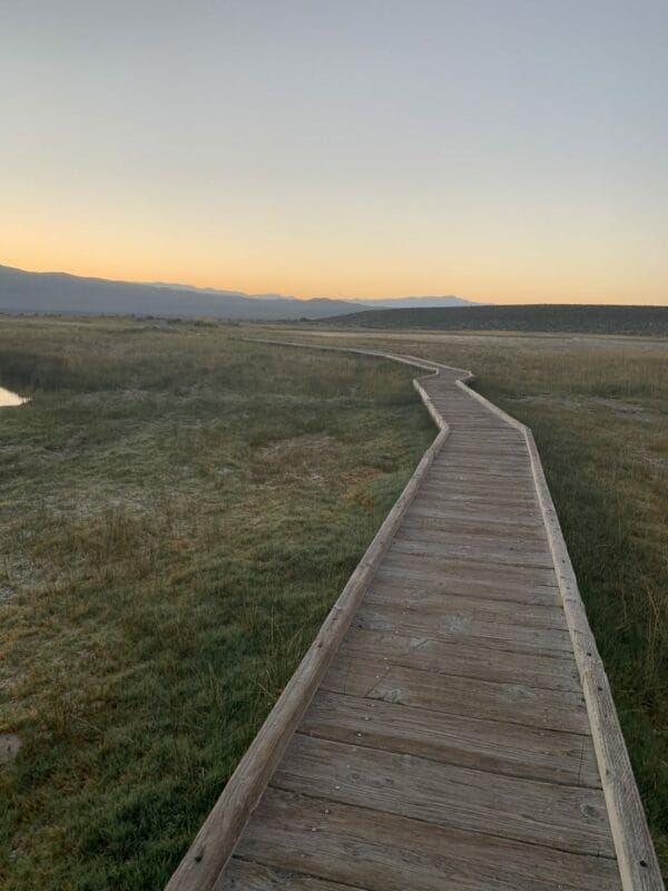 Beautiful surroundings and natural hot springs is what Wild Willy's has to offer near Mammoth Hot Springs.