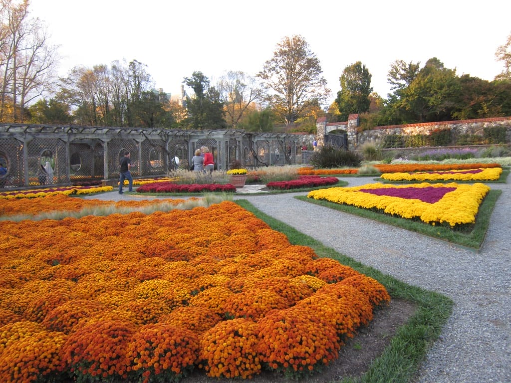 Biltmore Estate garden in Asheville, NC.