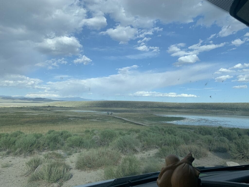 Looking out of my van at Wild Willy's Hot Springs parking lot.