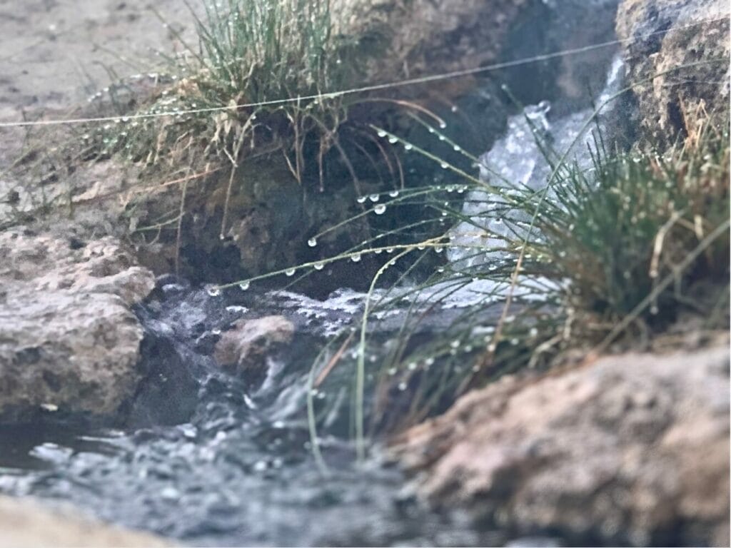 Water pearls created by little waterfalls at the Wild Willy's Hot Springs.