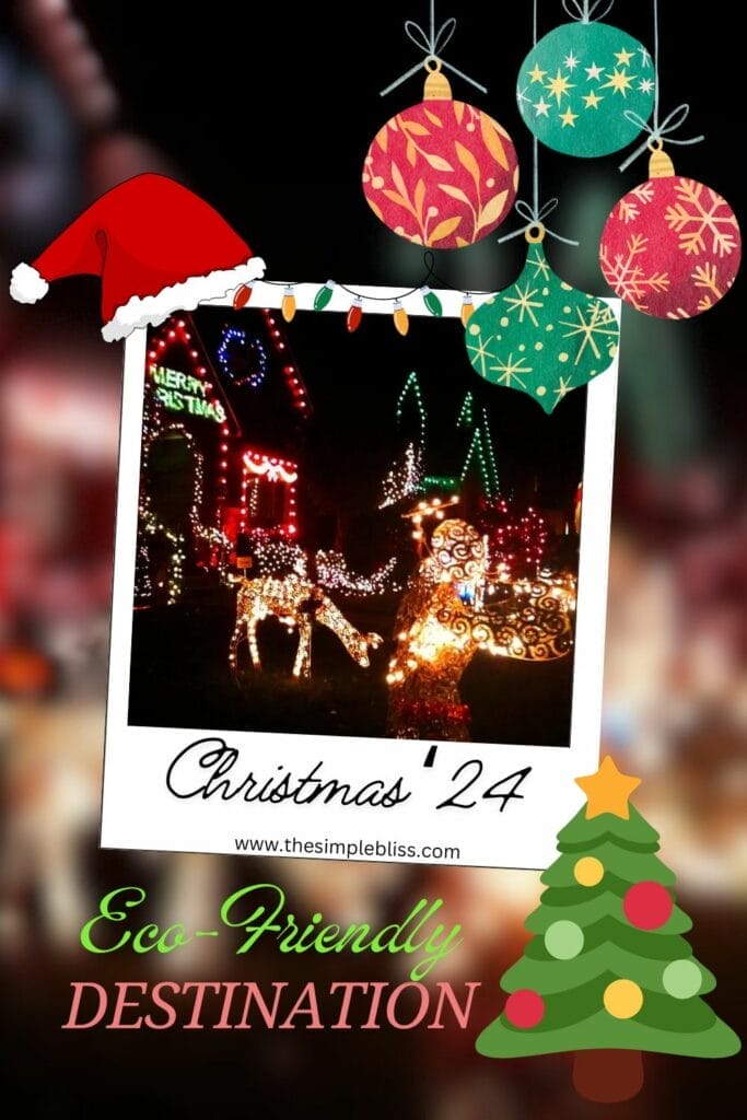 a polaroid of a Christmas display with Christmas decoration icons around the photo. Writing says "Christmas '24 - Eco-Friendly Destination."