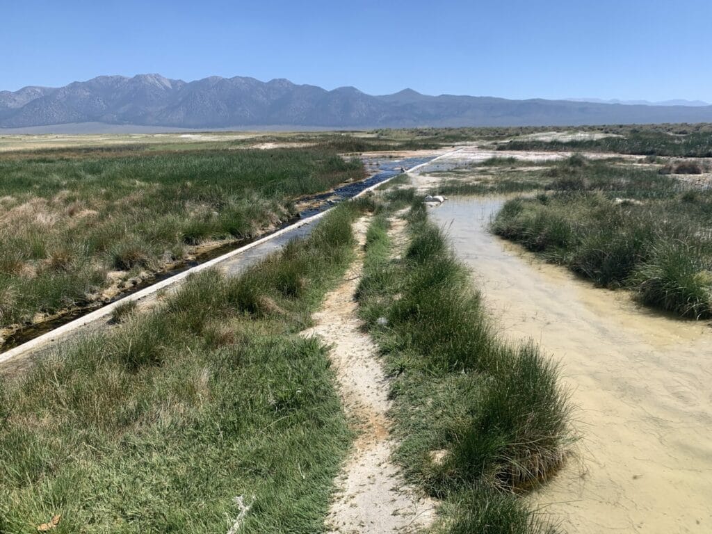 Picture of the pipe bringing thermal water into Hilltop Hot Springs Pool from quite a distance away.