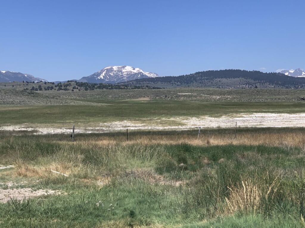 View of the snow capped mountains in a distance from the Hilltop Hot Springs pool.