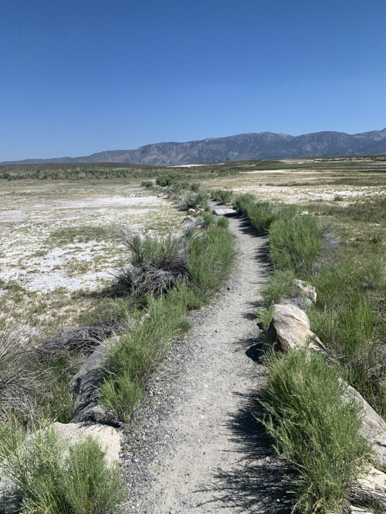 Clear and straight forward walk from the parking lot to the Hilltop Hot Springs pool.