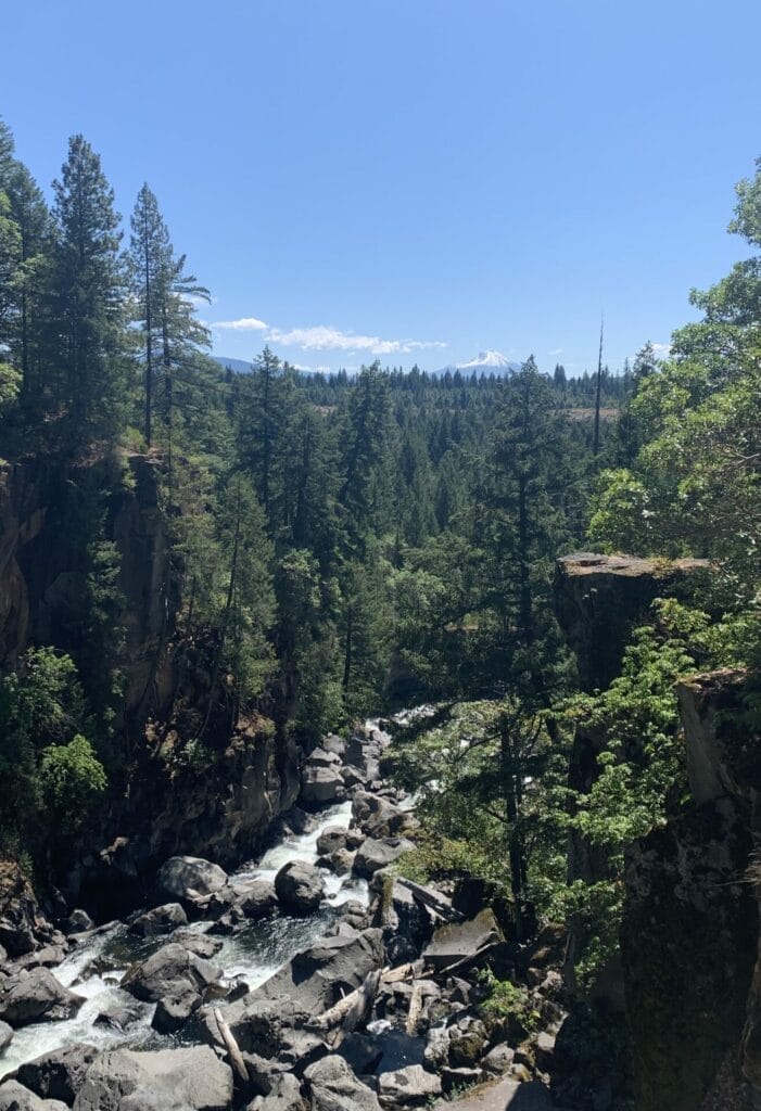 Giant Pines lining giant boulders with water cascading down the rocks. In a distance, a snow capped mountain can be seen.