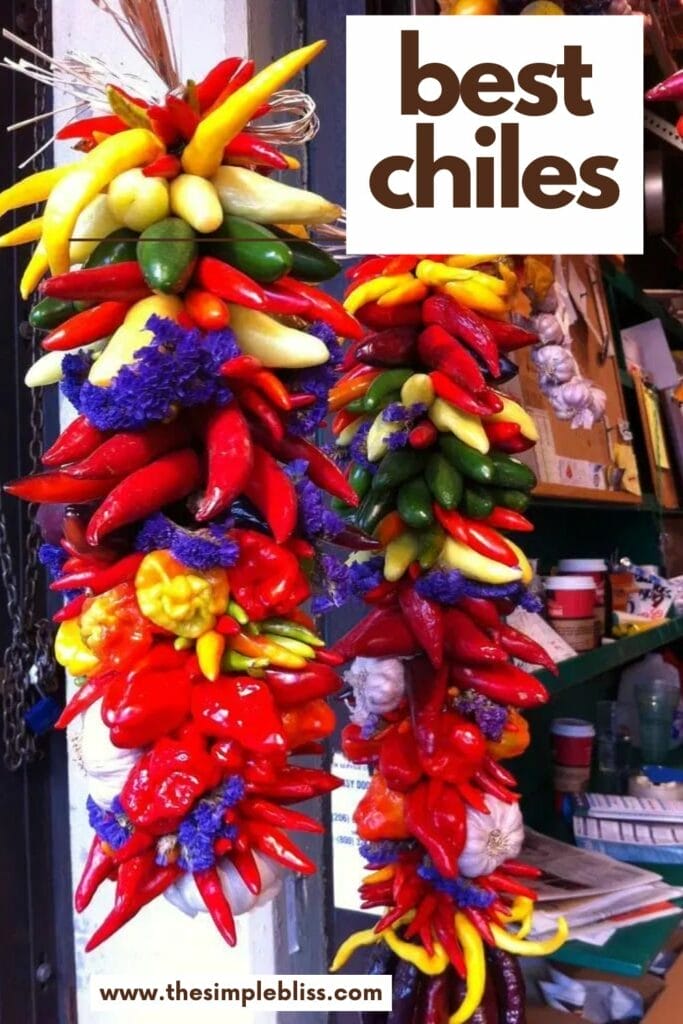 Two bunches of long chiles tied together, showcasing different colors and shapes, with overlay text "Best Chiles."