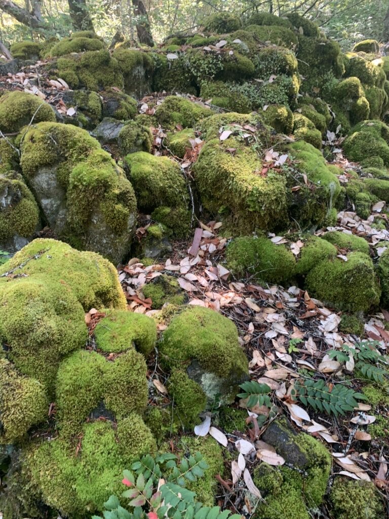 NBig rocks that's covered by bright green moss.