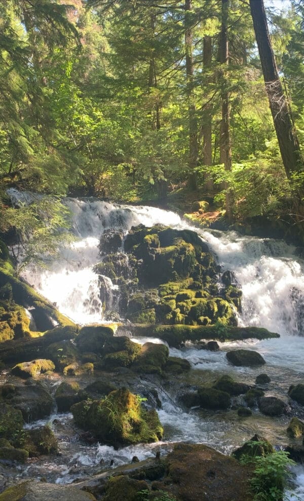 Water cascading down rocks around a big boulder in the middle. Green forest in the back and rocks close up are covered in bright green moss.