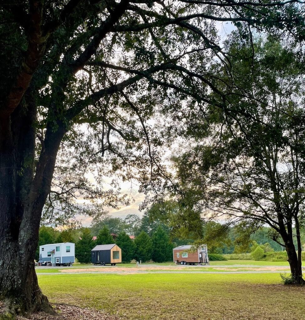 Looking through some trees, there's a tiny home community made up of 3 tiny houses on grassy lawn.